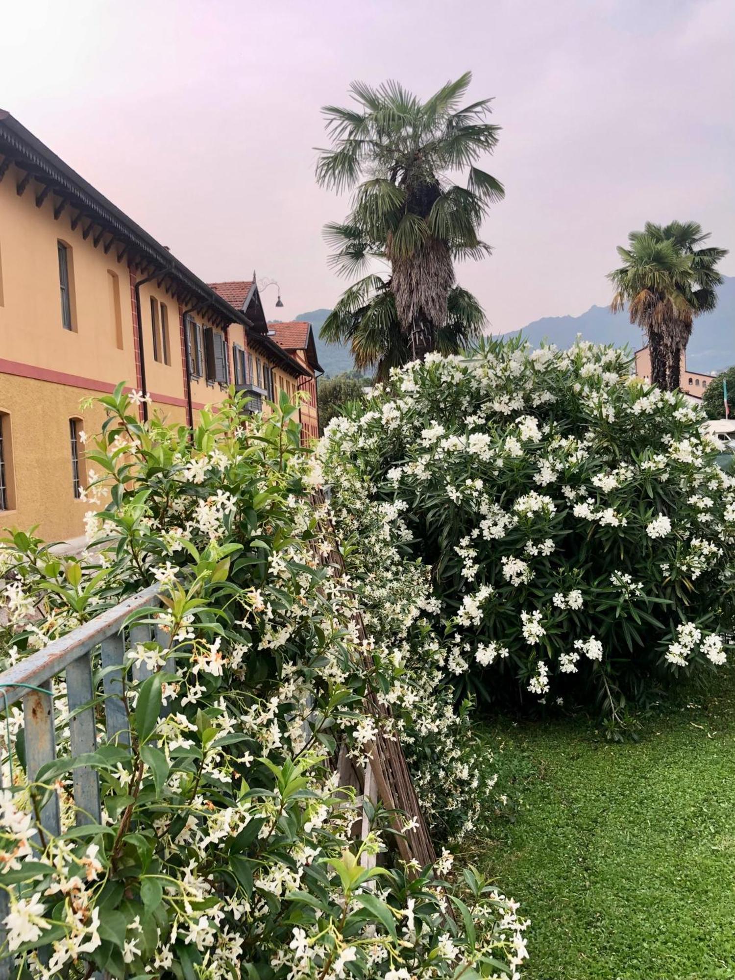 سكيو Roggia Maestra B&B المظهر الخارجي الصورة
